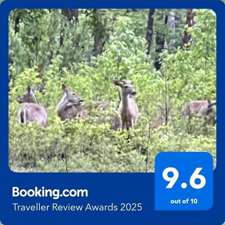 הוט ספרינגס Resort Home On Half A Wooded Acres Sleeps Up To 14 Firepit For Smores מראה חיצוני תמונה